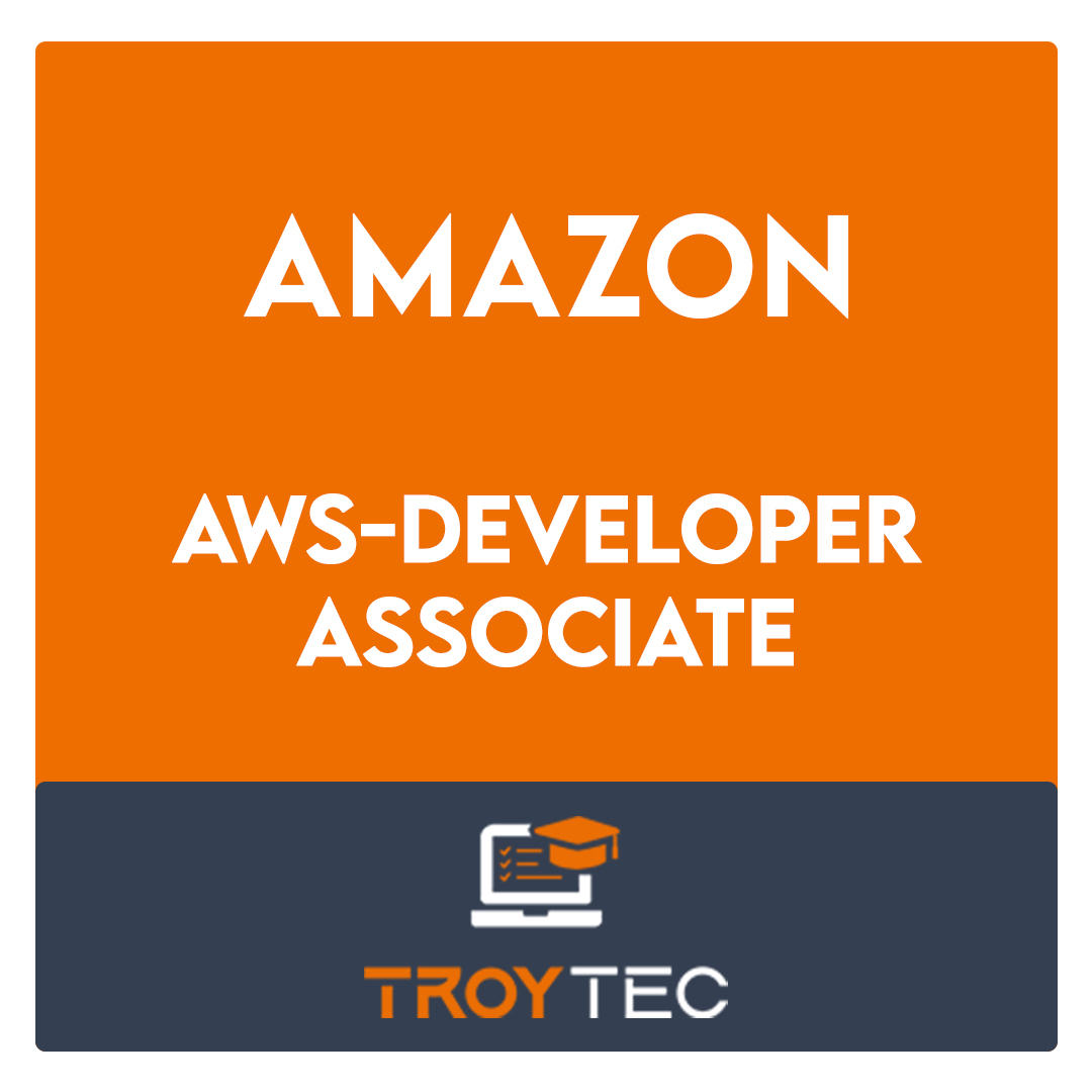 AWS-Developer-Associate-AWS Certified Developer Associate Exam